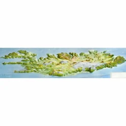 1122455 - Relief Island klein 1:1.500.000 - Karte