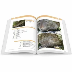 ALPEN EN BLOC BAND 2 - Kletterführer