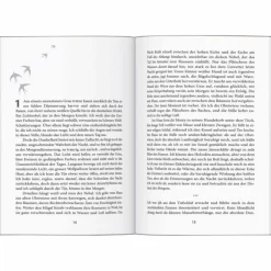 ÜBERLAND - Reisebericht