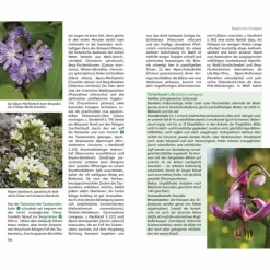 BLUMENWANDERUNGEN BAYERISCHE ALPEN - Wanderführer