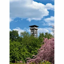 BVR RUND UM FRANKFURT - Wanderführer