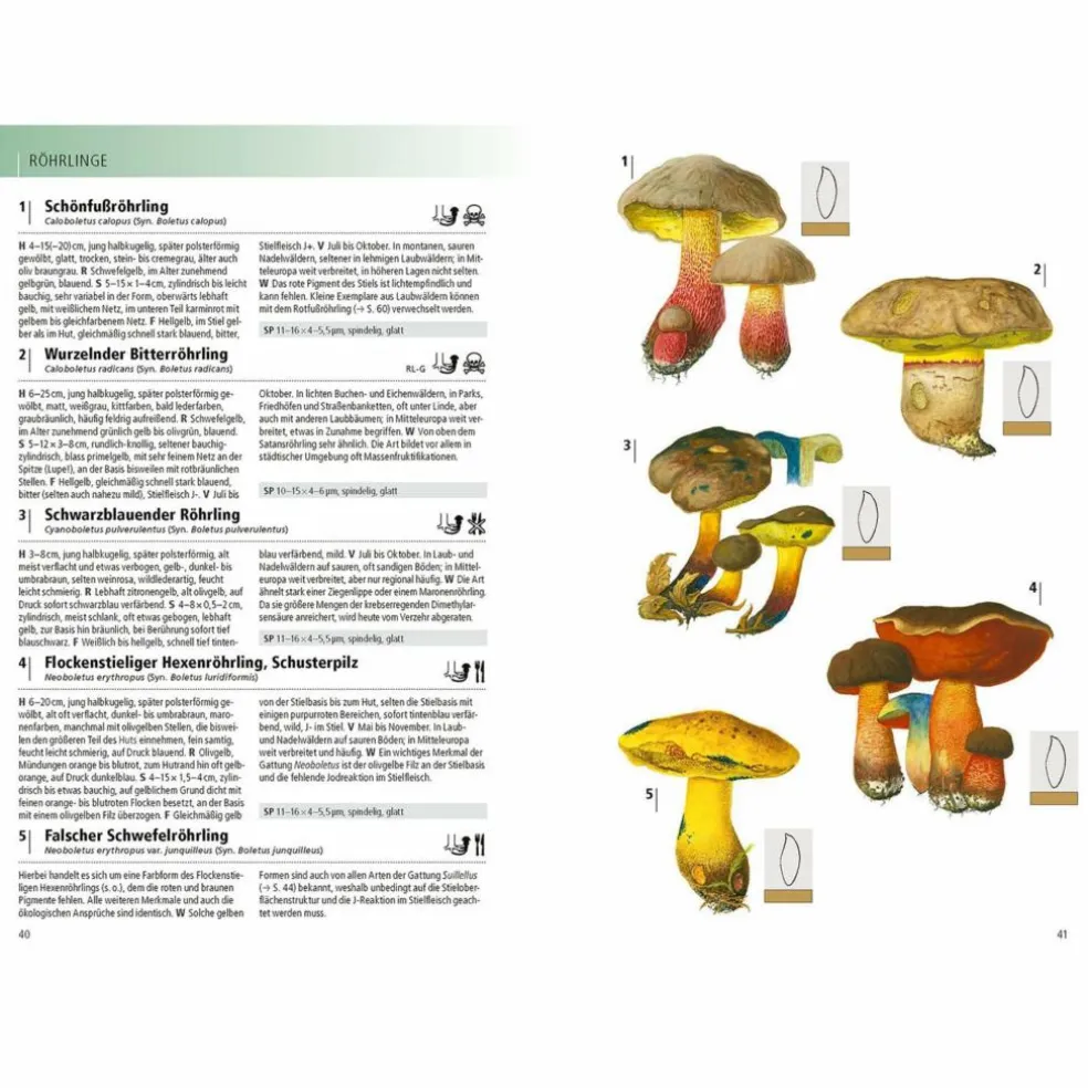 DAS KOSMOS-HANDBUCH PILZE - Pilz-Ratgeber