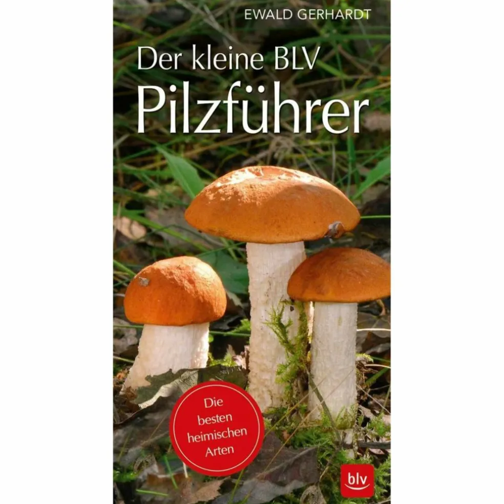 DER KLEINE BLV PILZFÜHRER - Ratgeber
