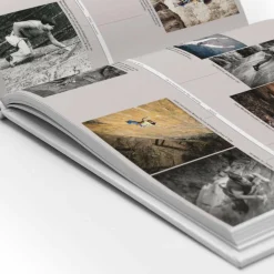 DIE PFALZ - DAS BUCH