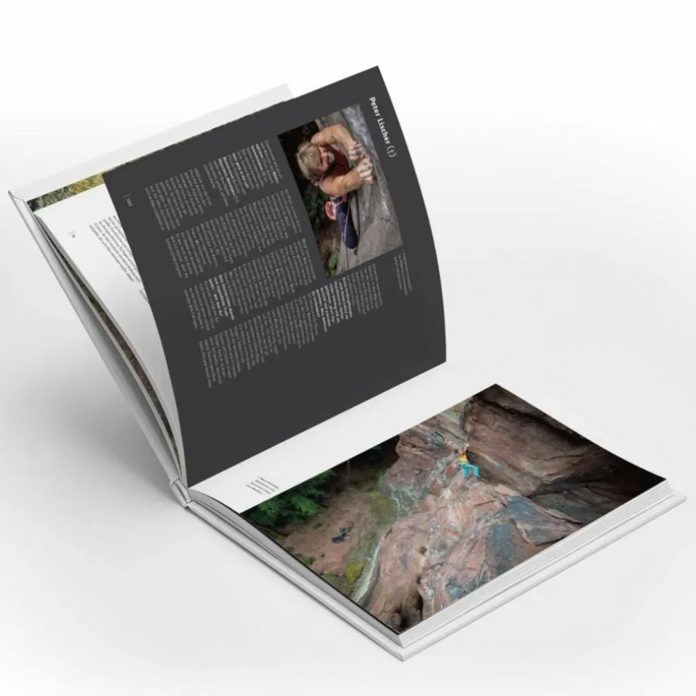 DIE PFALZ - DAS BUCH