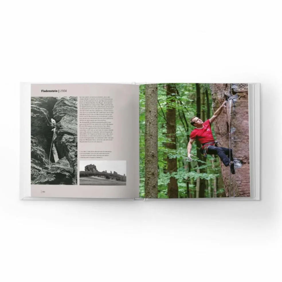 DIE PFALZ - DAS BUCH