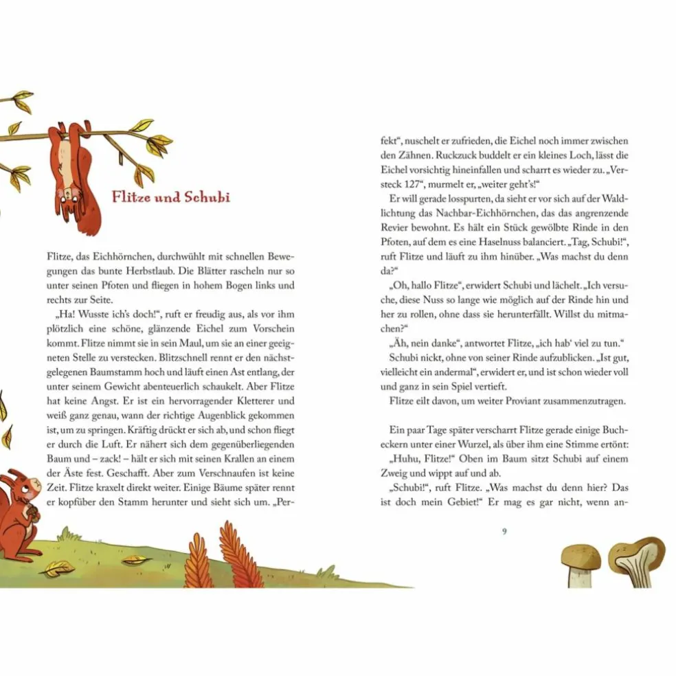 DIE SCHÖNSTEN GESCHICHTEN AUS DEM WALD - Kinderbuch