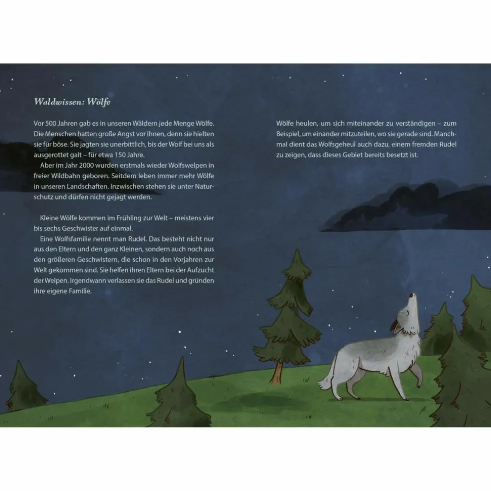 DIE SCHÖNSTEN GESCHICHTEN AUS DEM WALD - Kinderbuch