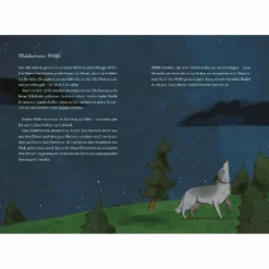 DIE SCHÖNSTEN GESCHICHTEN AUS DEM WALD - Kinderbuch