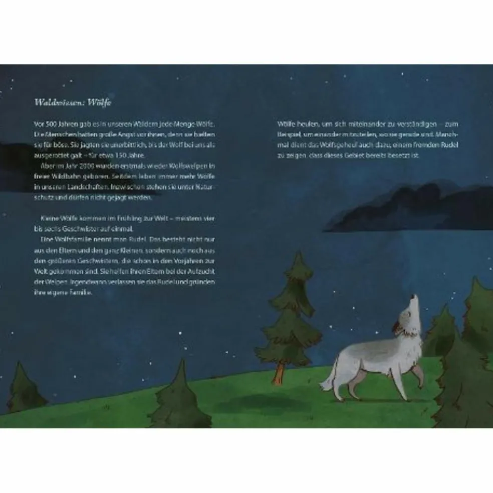 DIE SCHÖNSTEN GESCHICHTEN AUS DEM WALD - Kinderbuch