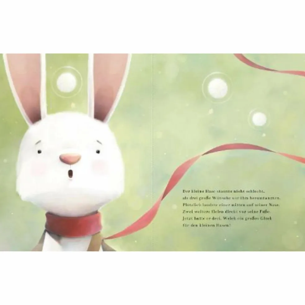 DREI WÜNSCHE FÜR DEN HASEN - Kinderbuch