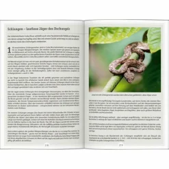 DUMONT REISE-HANDBUCH REISEFÜHRER COSTA RICA