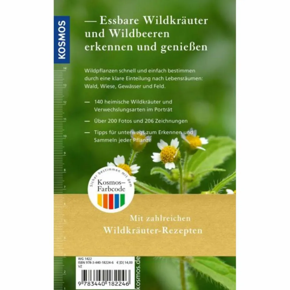 ESSBARE WILDKRÄUTER UND WILDBEEREN FÜR UNTERWEGS - Ratgeber
