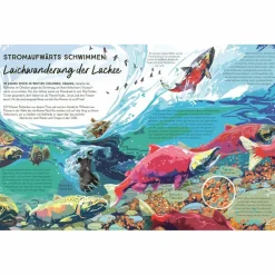 FLÜSSE - Kinderbuch