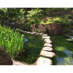 GARTENREISEN - BOTANISCHE GÄRTEN UND PARKS IN DEUTSCHLAND - Reiseführer