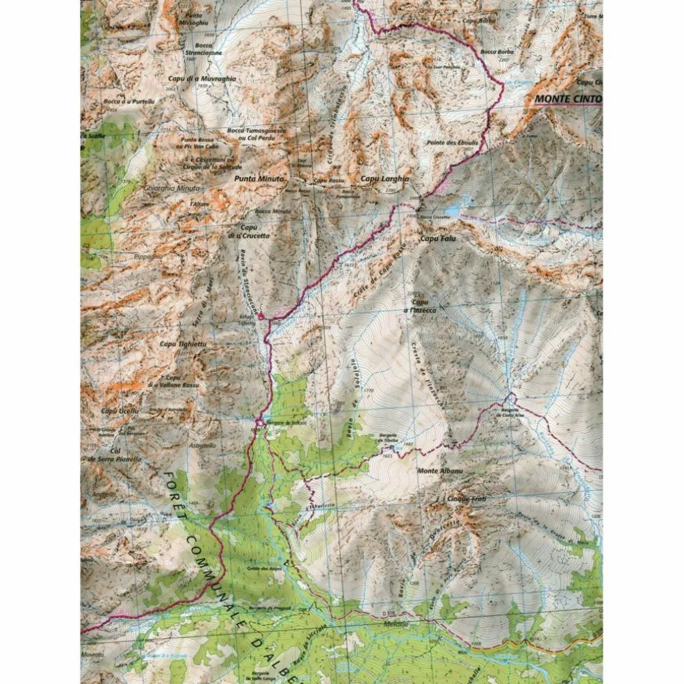 IGN 4250 OT CORTE - MONTE CINTO - Wanderkarte