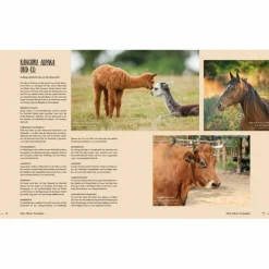 KÜHE, HÜHNER, FERIENGLÜCK - Reiseführer