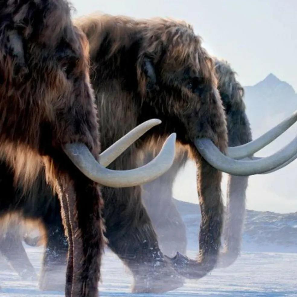 LEBEN AUF UNSEREM PLANETEN - Bildband