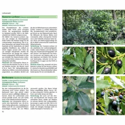 MADEIRAS FLORA - Ratgeber