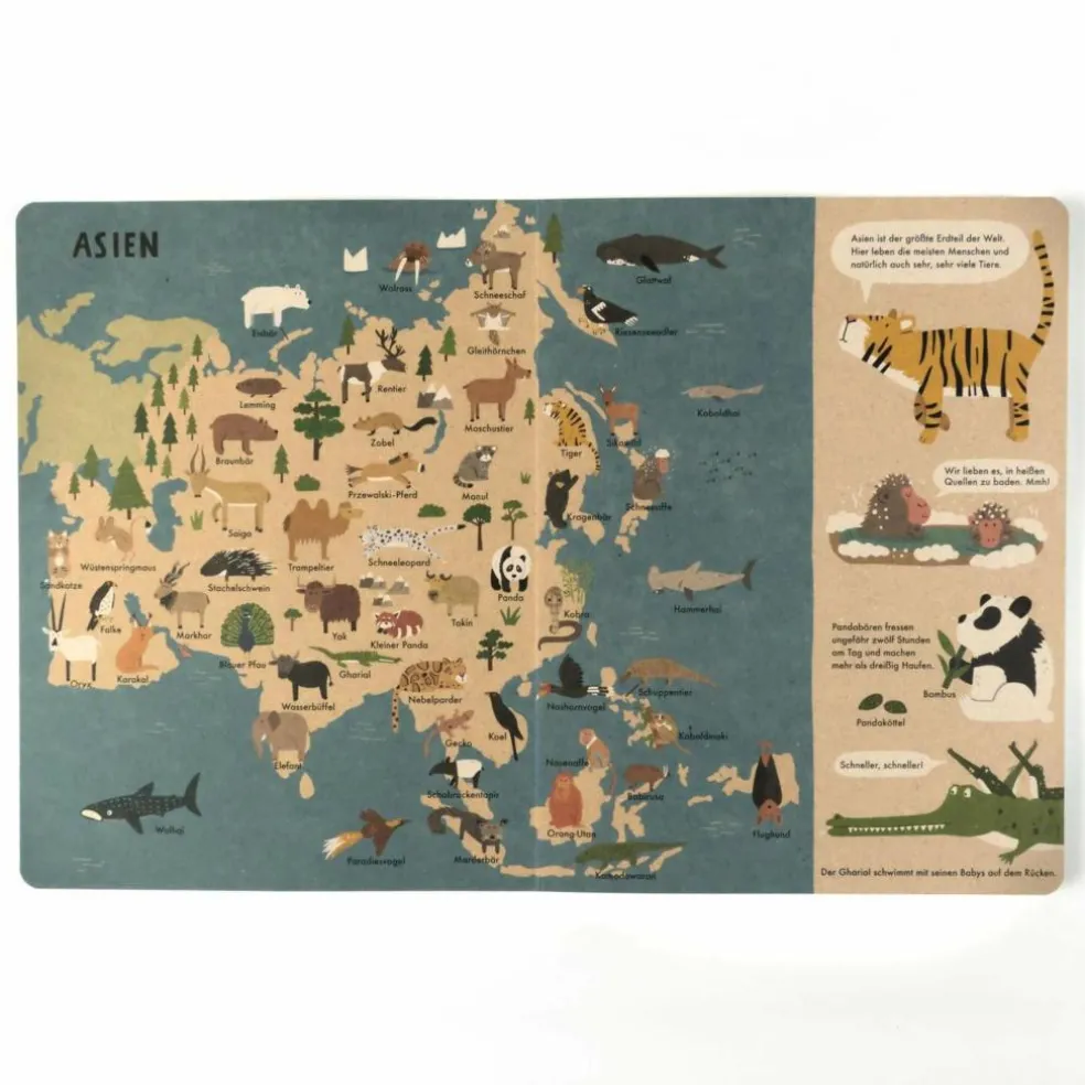 MEIN GROßER TIERATLAS - Kinderbuch