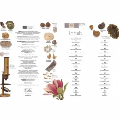 MEMO WISSEN FOSSILIEN - Kinderbuch