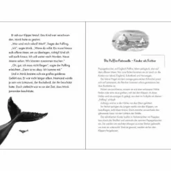 MINIK - DER RUF DER ARKTIS - Kinderbuch