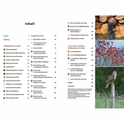 RAUS IN DEN WALD - Ratgeber