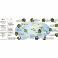 REGENWALD - Kinderbuch