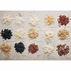 REISKÜCHE - Kochbuch