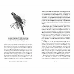 VON SCHRUMPFENDEN TINTENFISCHEN UND WINDFESTEN EIDECHSEN - Sachbuch