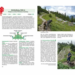 WANDERN MIT HUND ALLGÄU - Wanderführer