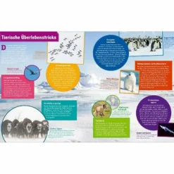 WAS IST WAS POLARSTERN. FORSCHEN IM EIS - Kinderbuch