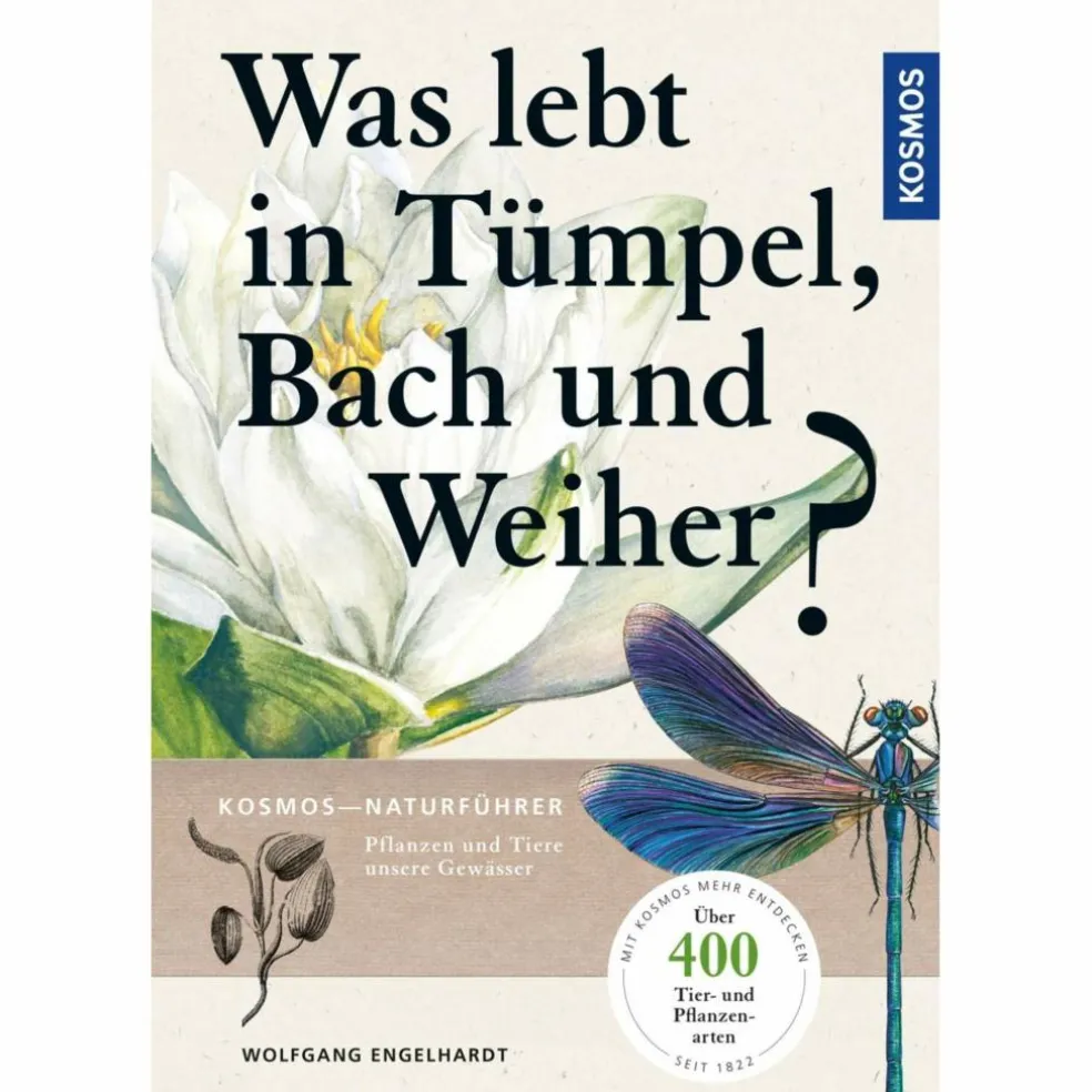 WAS LEBT IN TÜMPEL, BACH UND WEIHER? - Ratgeber