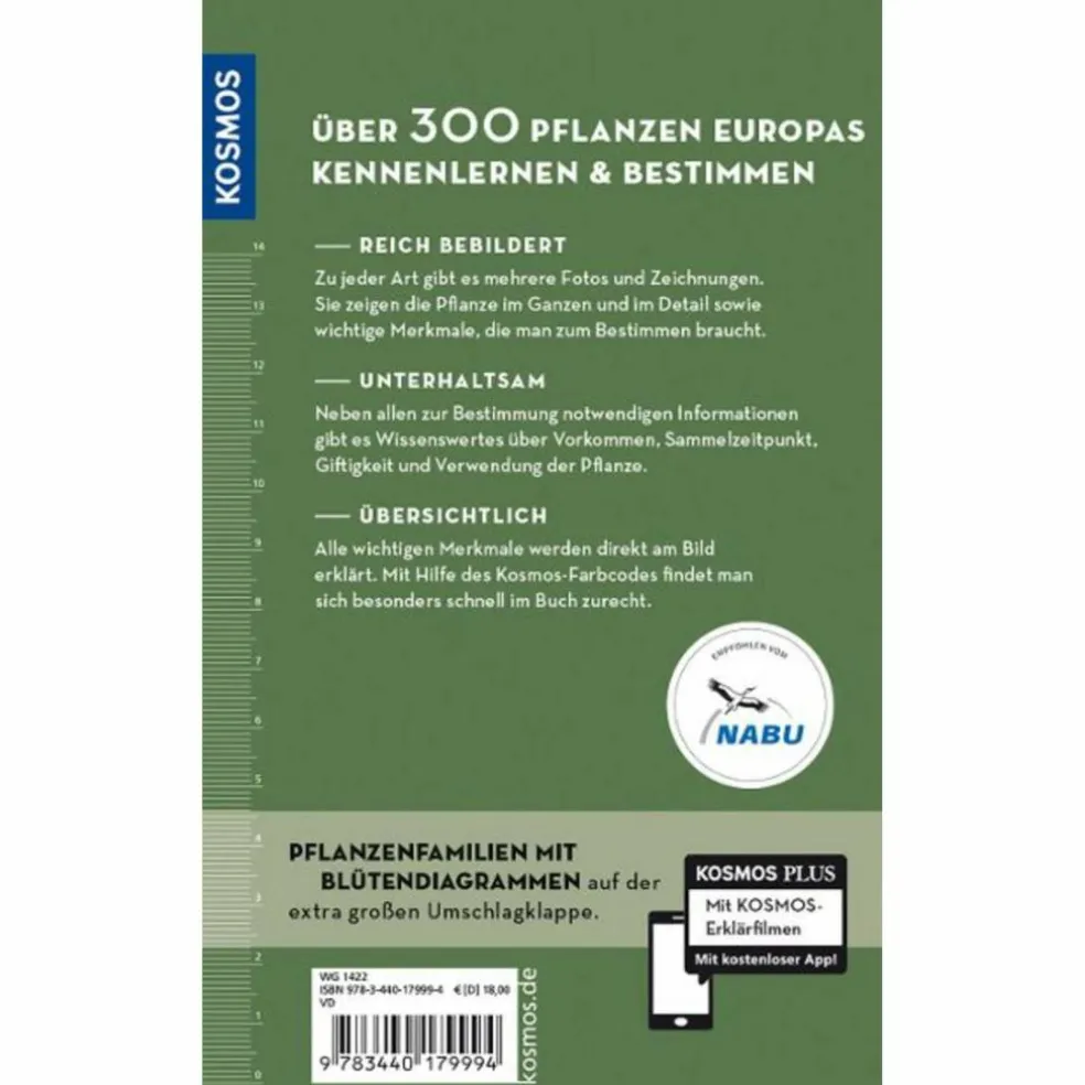 WELCHE ESSBARE WILDPFLANZE IST DAS? - Sachbuch