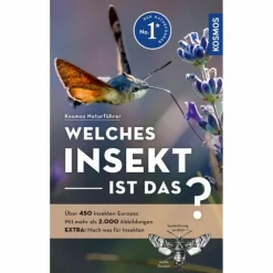 WELCHES INSEKT IST DAS? - Sachbuch