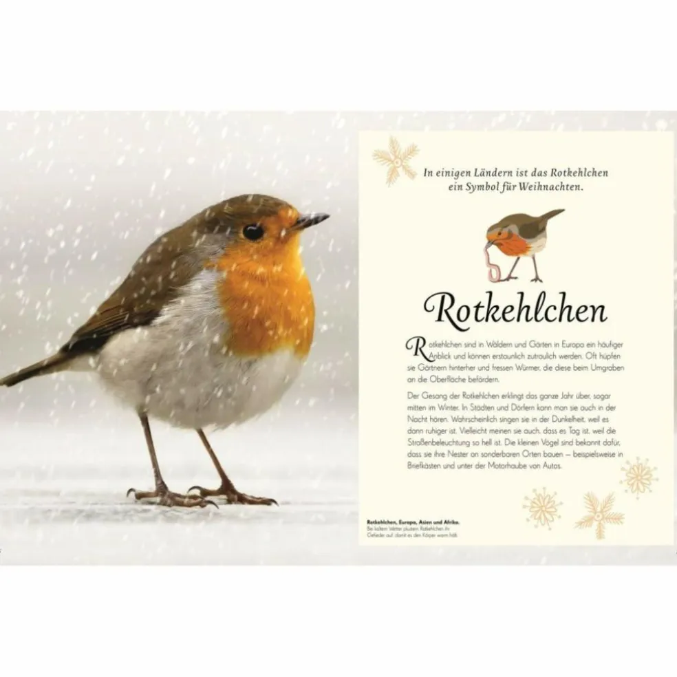 WUNDERVOLLE WELT DER VÖGEL - Sachbuch