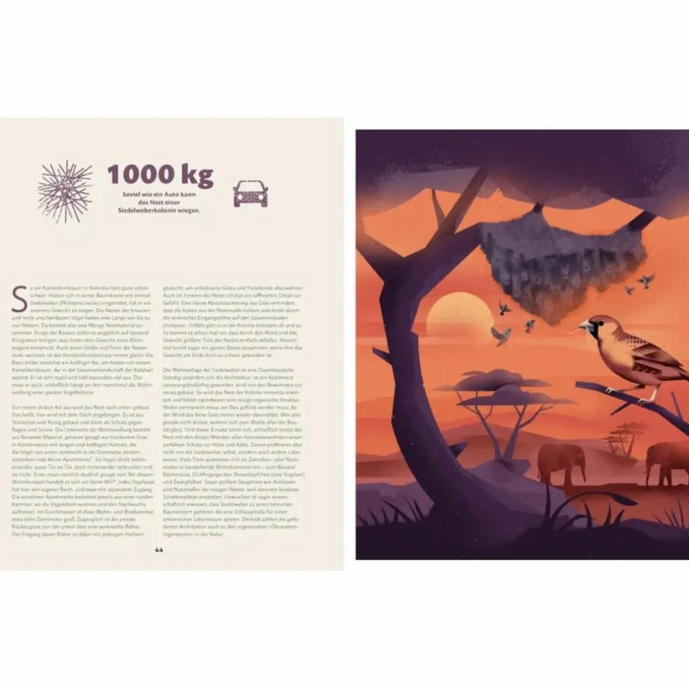 ZU HAUSE BEI DEN WILDEN TIEREN - Kinderbuch