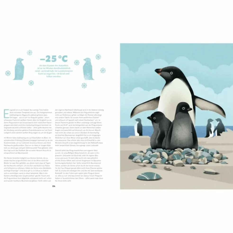 ZU HAUSE BEI DEN WILDEN TIEREN - Kinderbuch