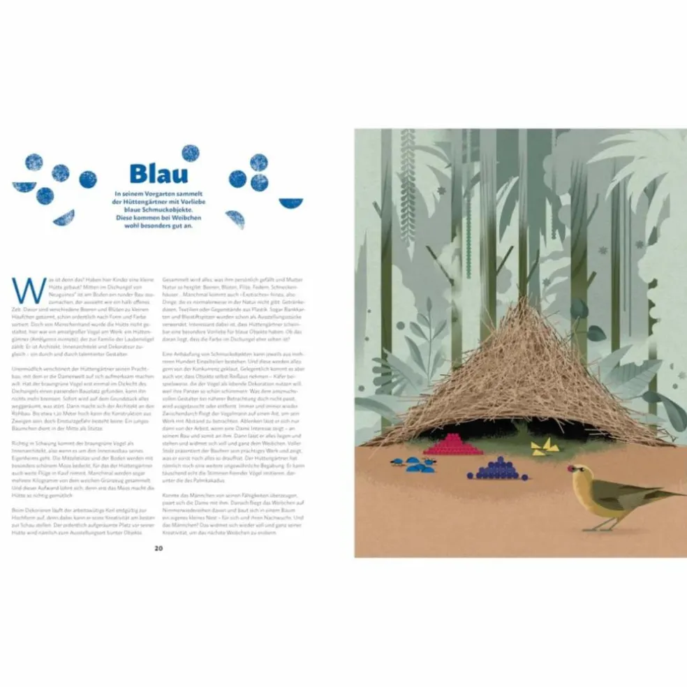 ZU HAUSE BEI DEN WILDEN TIEREN - Kinderbuch