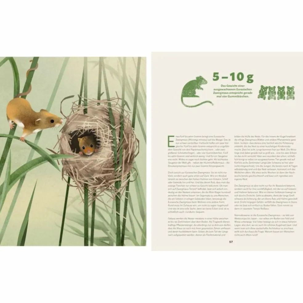 ZU HAUSE BEI DEN WILDEN TIEREN - Kinderbuch